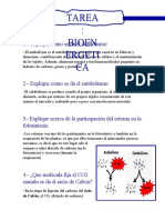 Tarea Bioenergetica