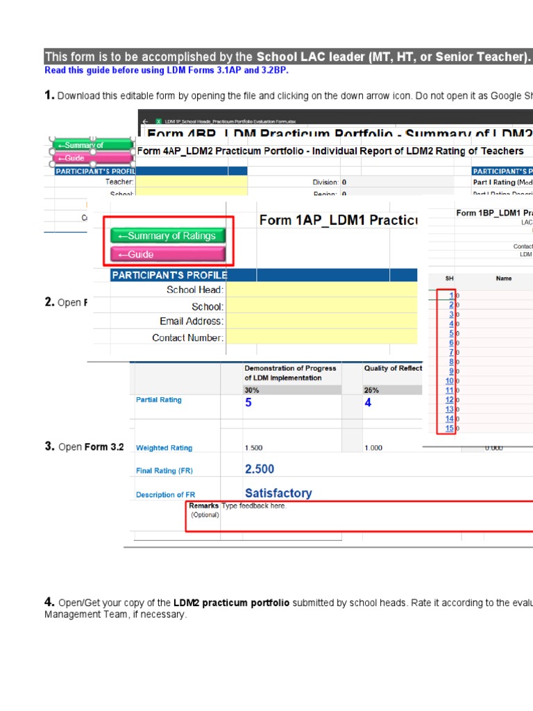 LDM Forms 3.1AP & 3.2BP User Guide | PDF | Computing | Computing And ...