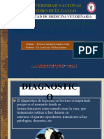 Diagnóstico de Preñez