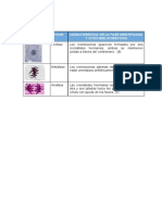 Informe7-Taller Práctico de Biología-Grupo 2