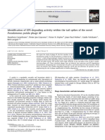 Identification of EPS-degrading Activity Within The Tail Spikes of The Novel