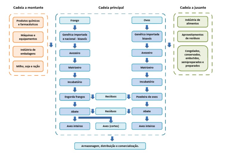 Diagrama - Cadeia Produtiva Da Avicultura | PDF
