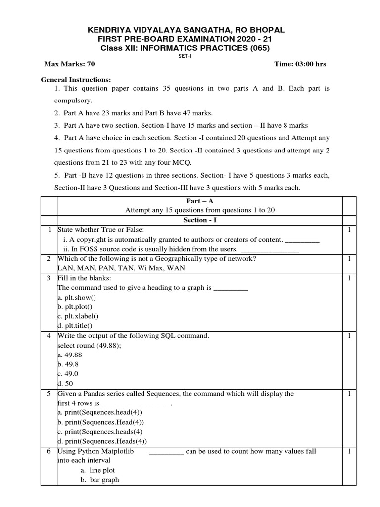 Class 12 Ip Sample Question Paper | PDF | World Wide Web | Internet & Web