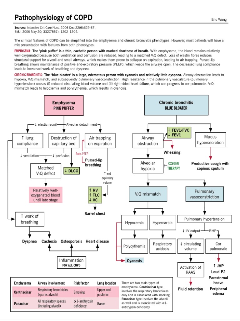 Understanding Chronic Obstructive Pulmonary Disease | PDF | Chronic ...