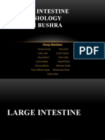 Large Intestine Physiology Mam Bushra: Group Members