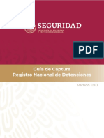 Guia de Captura Registro Nacional de Detenciones 2019