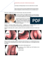 Anatomia Endoscopica de Nariz y Senos Paranasales