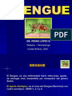 Dengue Enero 2019