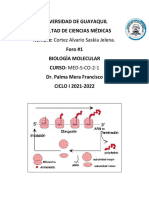 Cuadro Comparativo Entre Iniciación, Elongación y Terminación de La Síntesis de Proteínas-CORTEZ a.saskIA