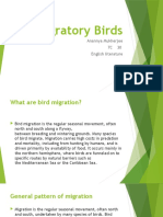 Migratory Birds: Anannya Mukherjee 7C 30 English Literature