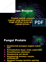 Pengertian Protein Irvin Marginto