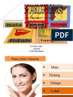 Eva Novia Rizawati, SST, M. Biomed - Panca Indra Manusia