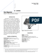 Magnolia Kobus Var. Stellata Star Magnolia: Fact Sheet ST-382