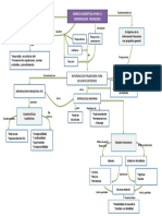 Mapa Conceptual Presentacion Informacion