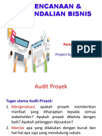 PPB-12-Project audit