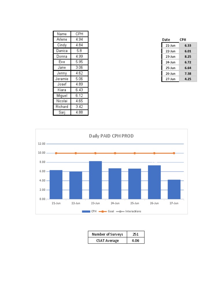 Daily CPH and CSAT Report Summary | PDF