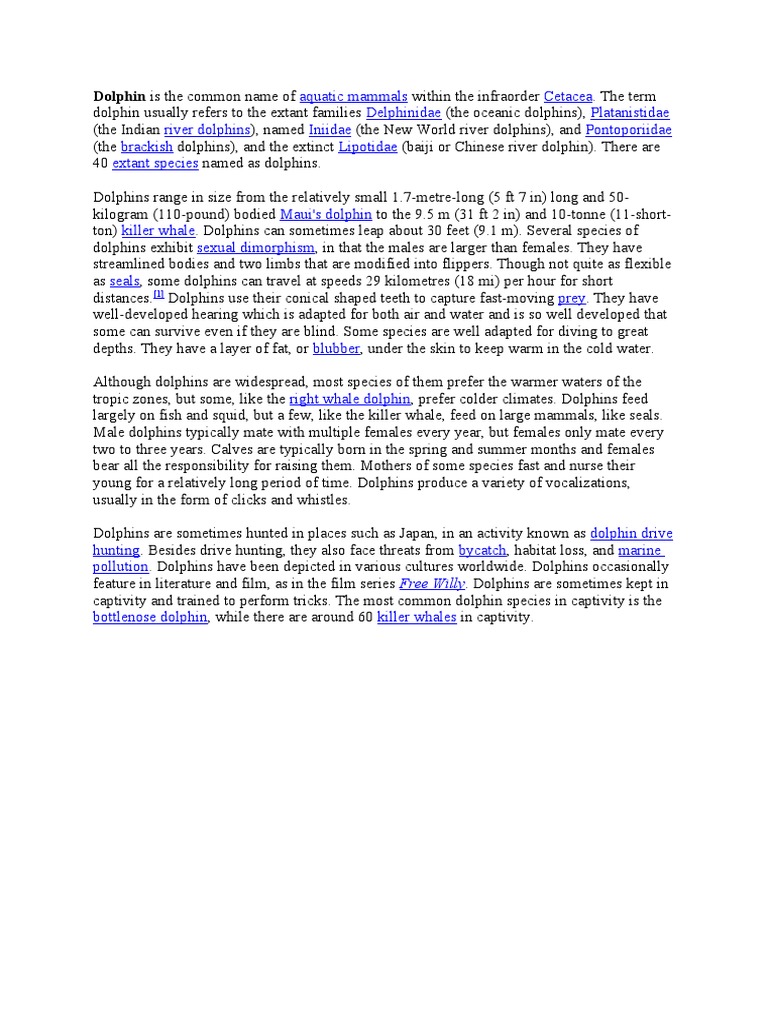 Dolphin Pdf Dolphin Whales