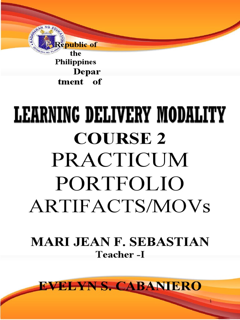 Course 2 Practicum Portfolio Artifacts | PDF | Career & Growth
