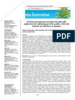 Nutrient Management Strategies Through Split Application For Optimizing Growth, Quality, Yield and Nutrient Use Efficiency in Jasmine