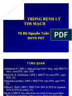 MSCT Benh Li Tim