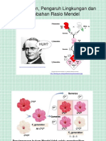 Materi VI Interaksi Gen Dan Perubahan Rasio Mendel