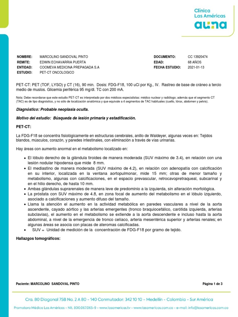 Pet-Ct Oncologico | PDF | Aorta | Abdomen