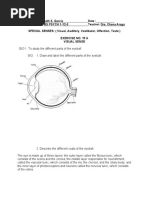 WEEK 16 LAB EXERCISE - Special Senses