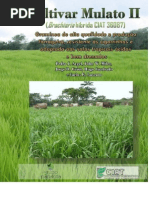 Boletim CIAT MULATO II Português