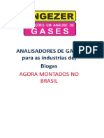 Biogas Engezer