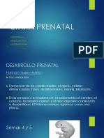 Etapa Prenatal