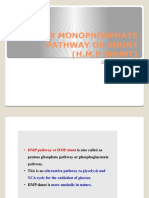 Hexose Monophosphate Pathway or Shunt (HMP Shunt