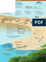 Infografia Proceso Productivo 12-11-20