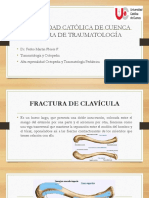 FX Clavicula