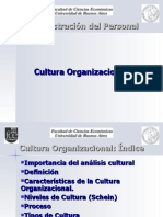 Cultura_organizacional[2]
