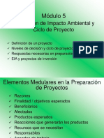 Mod 05 EIA y ciclo del proyecto