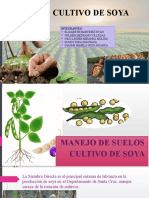 CULTIVO DE SOYA