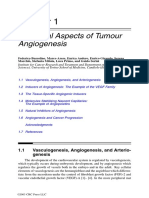 Biological Aspects of Tumour Angiogenesis: 1.1 Vasculogenesis, Angiogenesis, and Arterio-Genesis