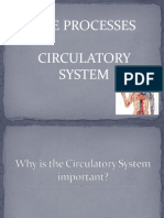 Circulatory System Part 1