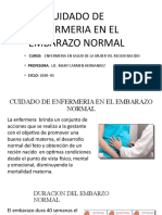 Semana 2 - 01 - Cuidado de Enfermeria en El Embarazo Normal