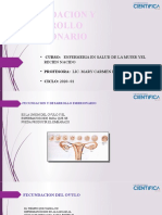 Semana 01 - Fecundacion y Desarrollo Embrionario