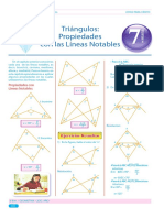 Guía 7-Triangulo PLN