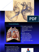 Cirugia Cardiotacica