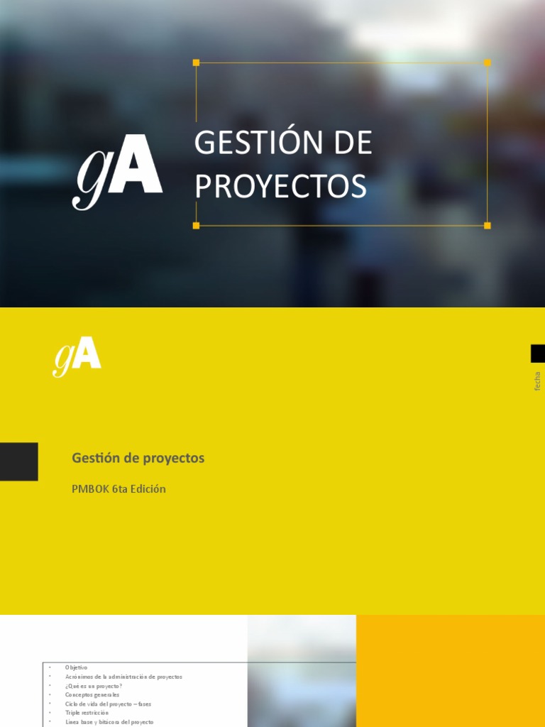 Gestión de Proyectos según PMBOK 6ta Ed. | PDF | Gestión de proyectos ...