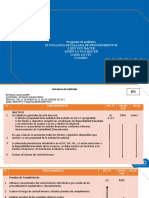 06 Programa de AUDITORIA - Auditoria de Gestion