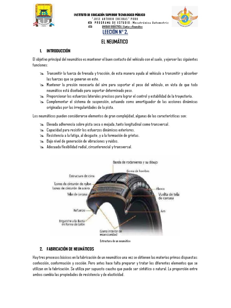 Estructura y Función de Neumáticos | PDF | Caucho natural | Neumático