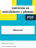 La Nutricion en Unicelulares y Plantas