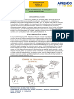 Semana 19 Educacion Fisica 20165 - 3°,4° y 5°