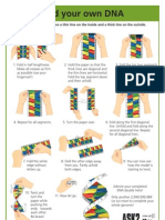 Origami DNA 1