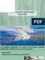 2019 AMAZON RAINFOREST WILDFIRE
