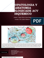 Fisiopatologia y Anatomia Patologicade Acv Isquemico